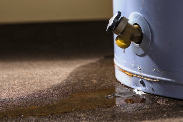 Best Carpet water damage restoration  in Thompsonville, PA