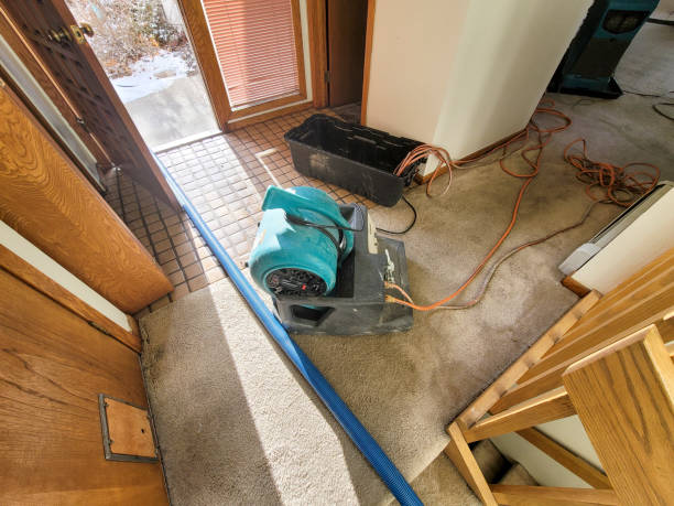 Best Residential water damage restoration  in Thompsonville, PA