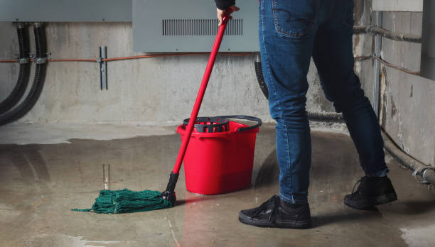 Best 24-hour water damage restoration  in Thompsonville, PA