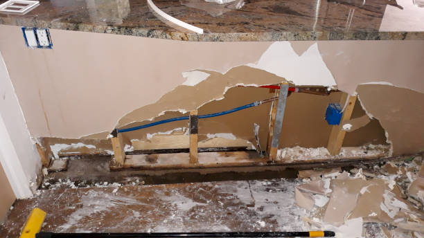 Best Water damage restoration process  in Thompsonville, PA