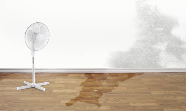 Best Water damage restoration near me  in Thompsonville, PA