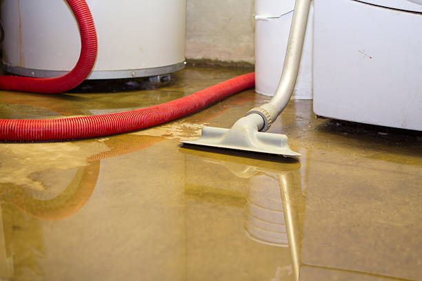 Best Water damage restoration mold remediation  in Thompsonville, PA