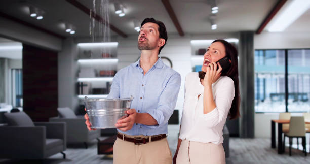 Best Ceiling water damage repair  in Thompsonville, PA