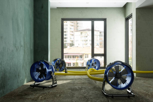 Best 24-hour water damage restoration  in Thompsonville, PA